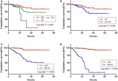 Genetic Variant in Long Non-Coding RNA H19 Modulates Its Expression and Predicts Renal Cell Carcinoma Susceptibility and Mortality